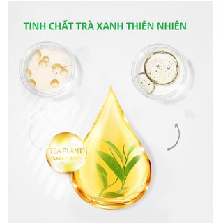 XÀ PHÒNG RỬA MẶT TRÀ XANH