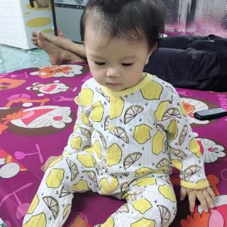 Ta vân anh
