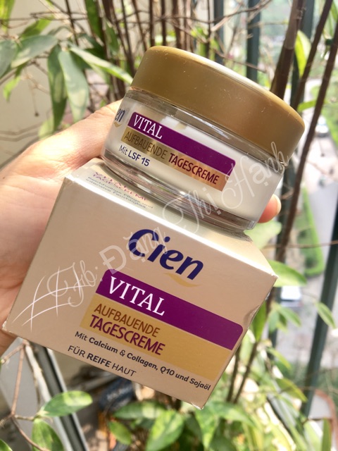 BỘ KEM DƯỠNG DA CIEN Q10- CIEN VITAL | BigBuy360 - bigbuy360.vn