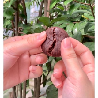 Bánh NEXTAR NABATI SOCOLA siêu ngon