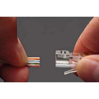 Hạt mạng RJ45 Cat6 Hosiwell- Made in Thái Lan