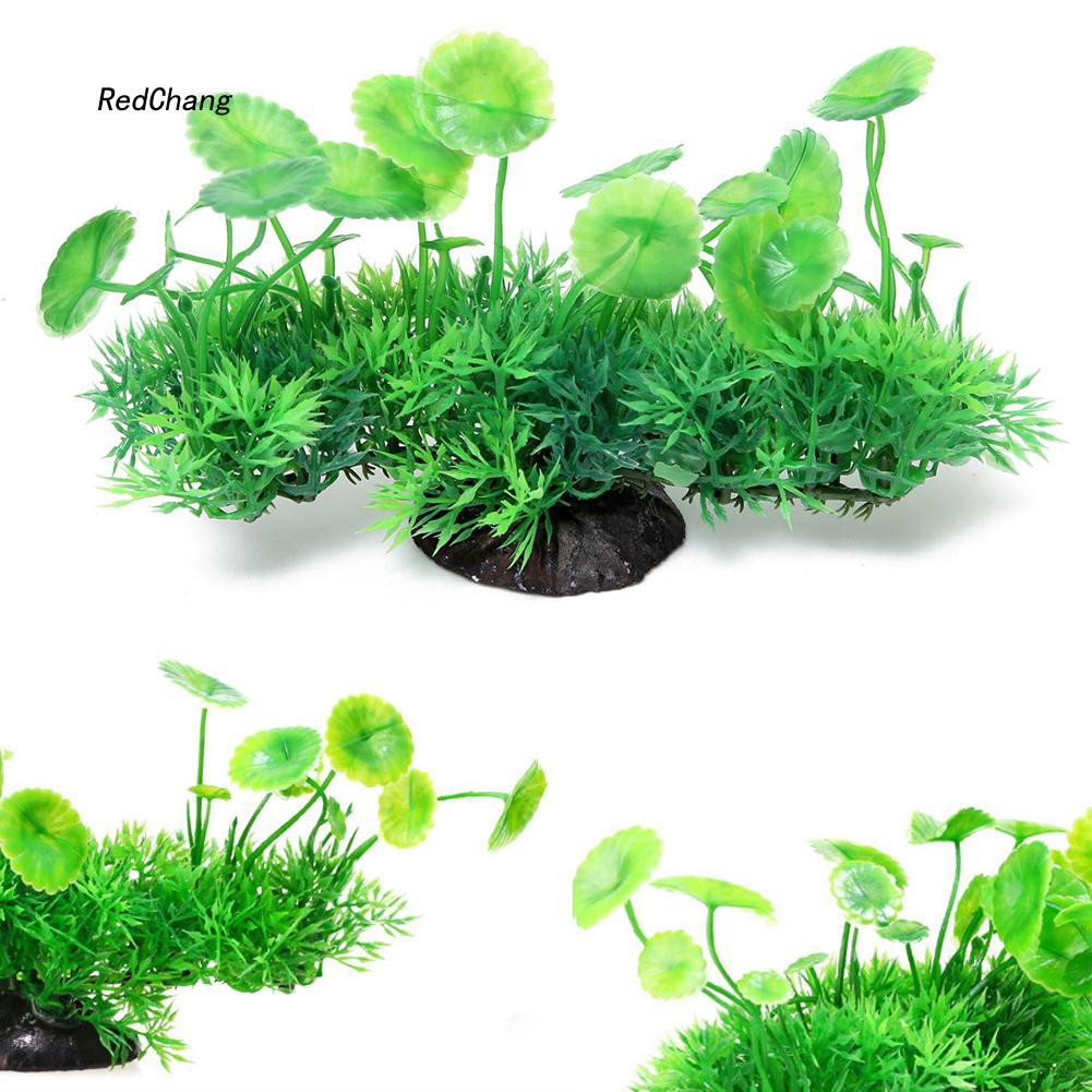 Cây cỏ nhân tạo màu sắc tươi sáng dùng để trang trí bể cá