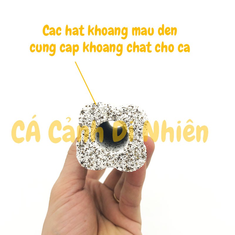 Thanh sứ lọc Muối Tiêu mè đen size 16x4 CM lọc nước hồ cá cảnh