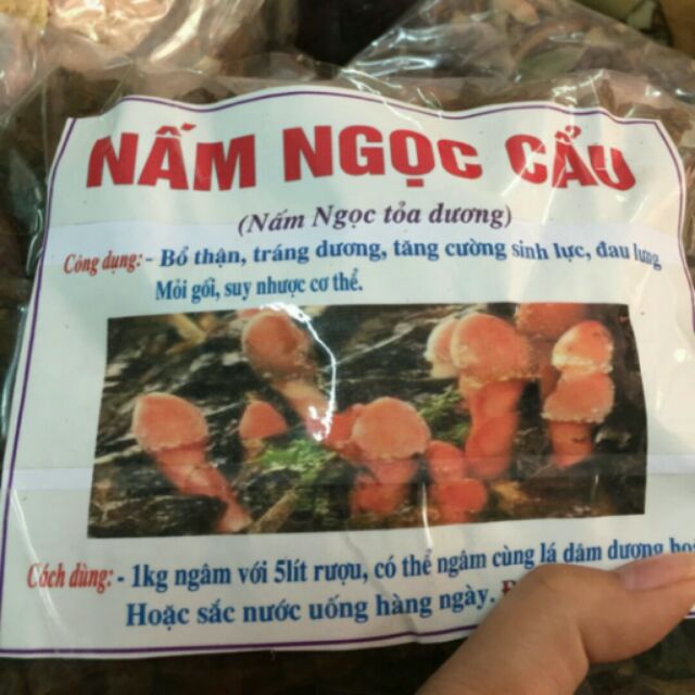 Nấm ngọc cẩu
