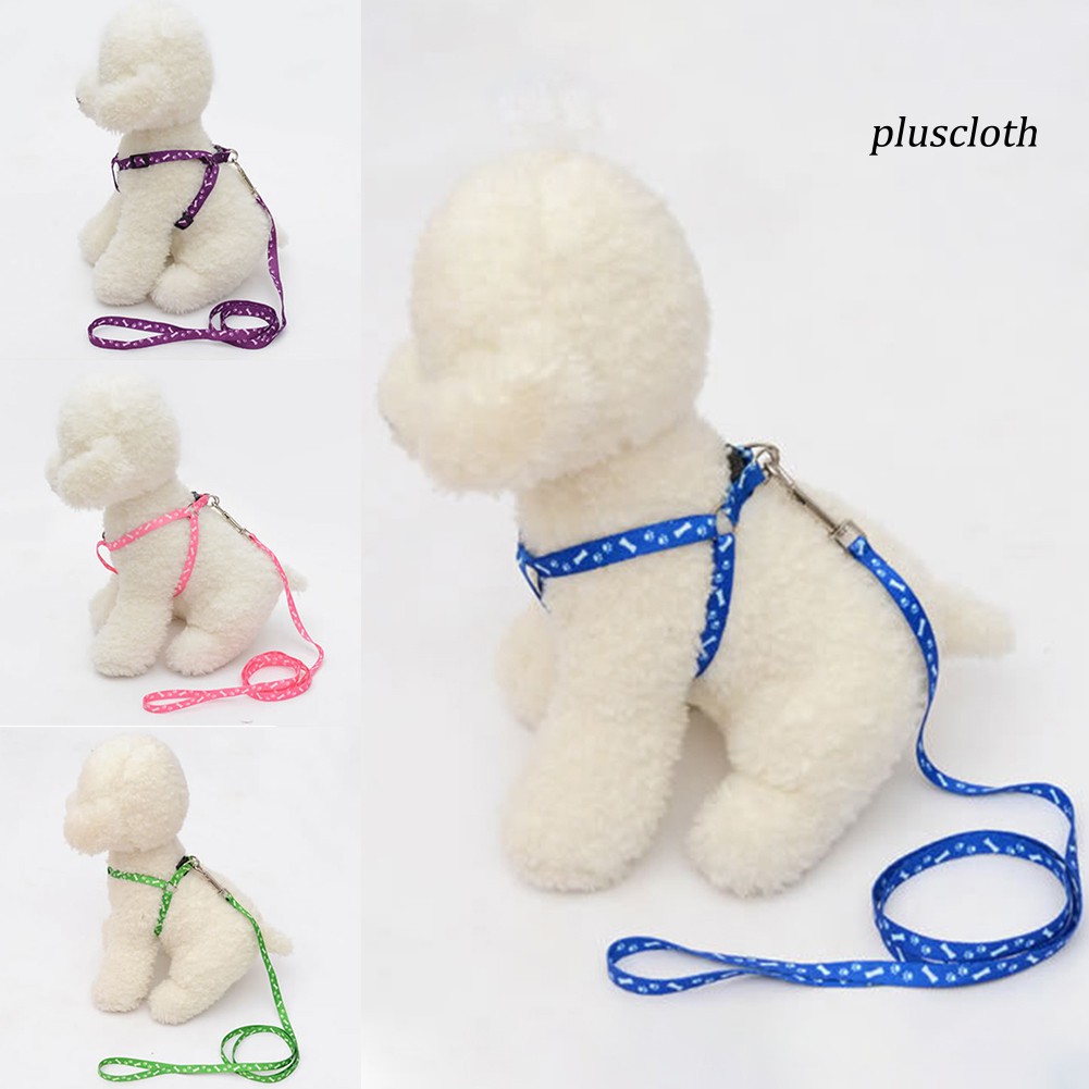 Dây Dắt Thú Cưng Đi Dạo Nhiều Màu 120cm