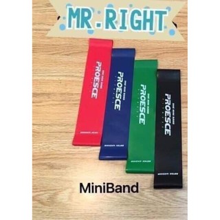 Bộ dây kháng lực 4 dây (Miniband)
