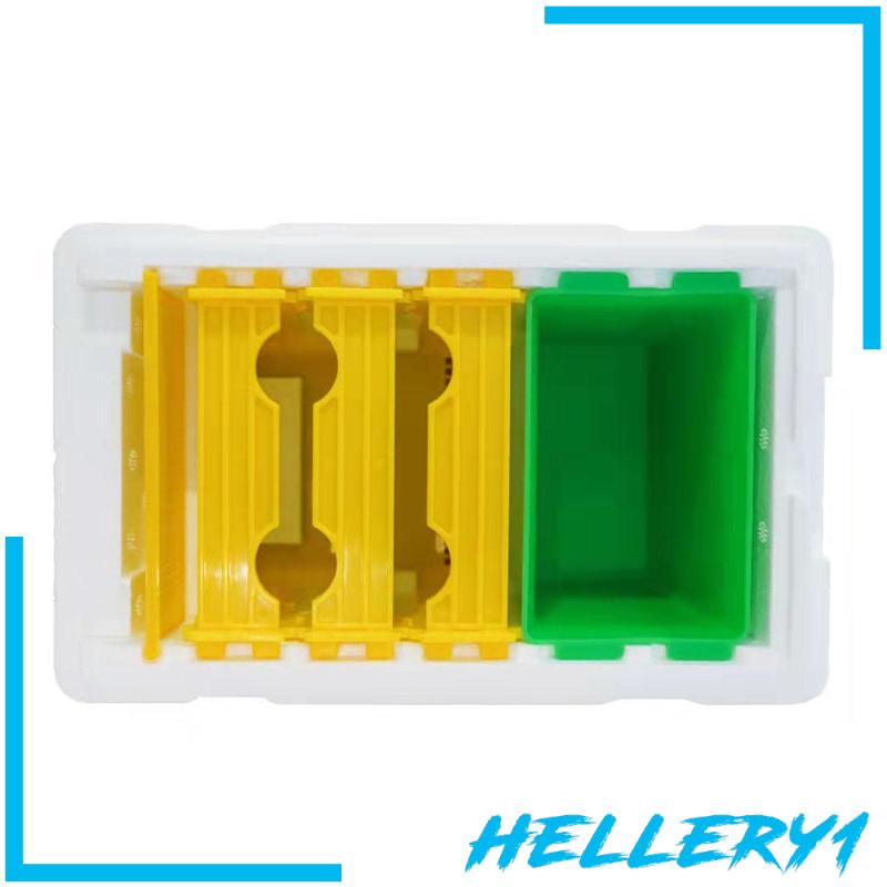 Hộp Nuôi Ong Chúa Breeding Queen Bee 1