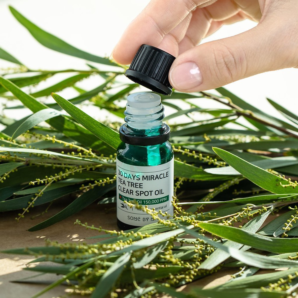 Tinh Dầu Tràm Trà [Hết Mụn100%-Hàng auth] Tinh dầu đa năng ngăn ngừa mụn Tea Tree Oil 10ml