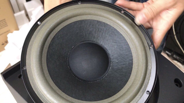 Loa bose 301 series 5