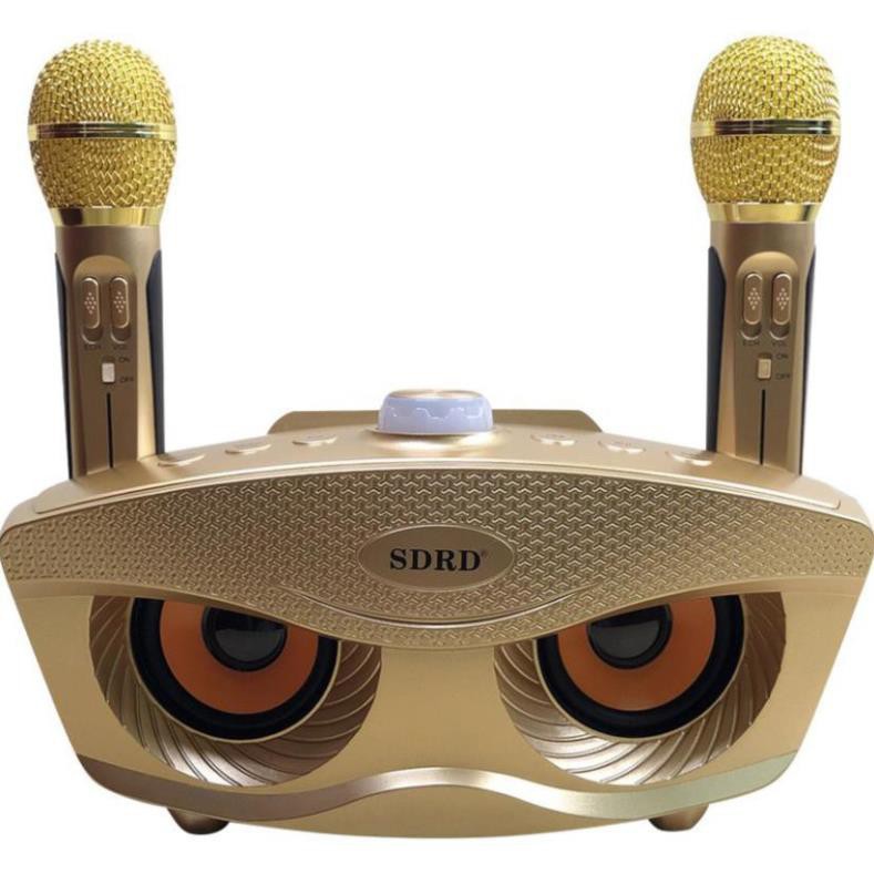 Loa Hát karaoke SD 306- Loa karaoke kèm 2 micro sạc không dùng pin - Âm thanh to Màu Ngẫu Nhiên