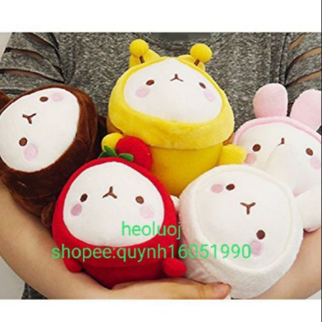 Gấu bông molang 25cm