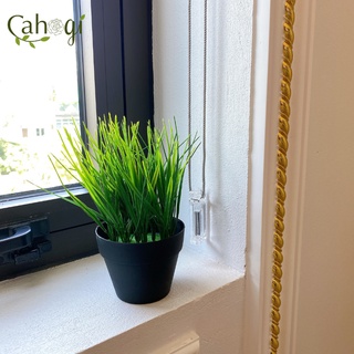 Cây Giả - Chậu Cây Lúa Non Để Bàn