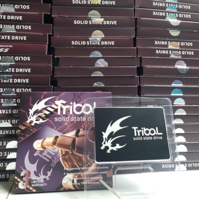 Ổ cứng laptop SSD Tribal 120GB | BigBuy360 - bigbuy360.vn