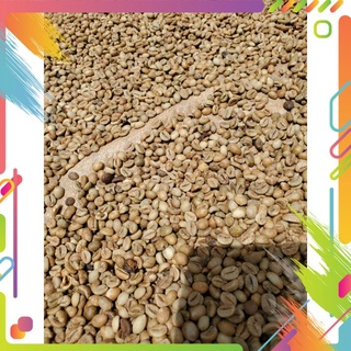 Cà phê robusta rang mộc Di Linh Lâm Đồng - 500g