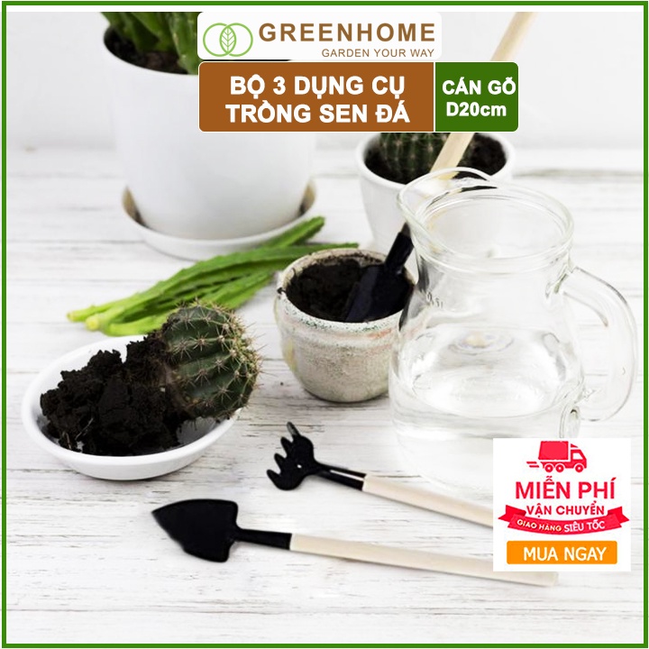 2 bộ Dụng cụ làm vườn mini, 3 món tiện lợi, chuyên dụng trồng Sen đá ,cán gỗ |Greenhome