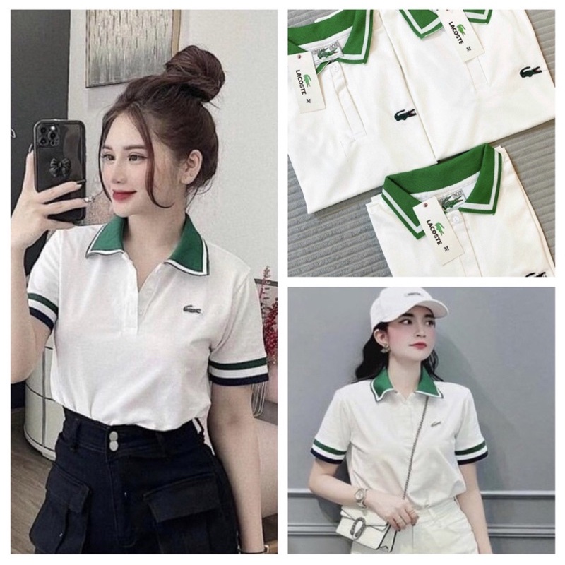 Áo polo cá sấu cổ bẻ viền xanh trắng hot