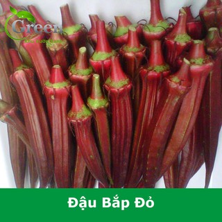 Hạt Giống Đậu Bắp Đỏ Cao Sản Sinh Trưởng Mạnh, Đồng Đều Gói 5 Gam (khoảng 100 hạt)