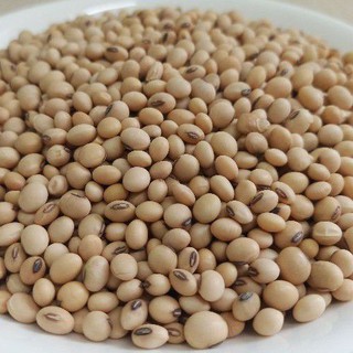 Đậu nành 1kg