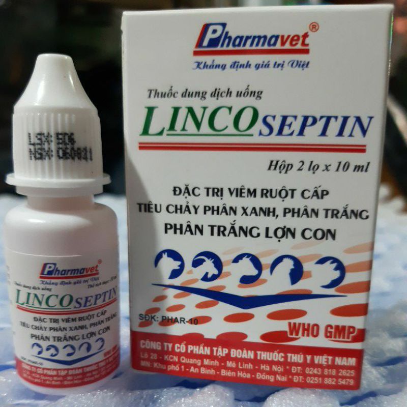 Dung dịch uống Lincoseptin 10ml ( 2 lọ / hộp)