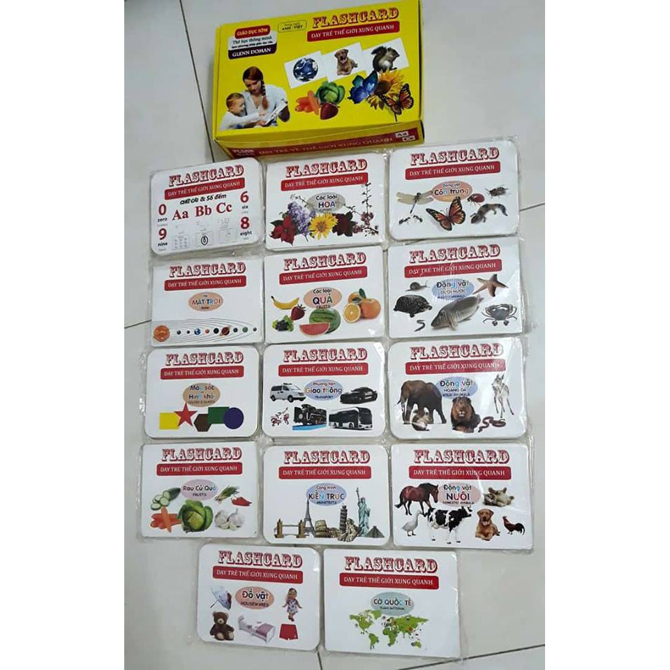 [Thanh lý xả kho] Thẻ học flashcard thế giới xung quanh cho bé - Thẻ to