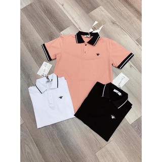 Áo phông có cổ nhiều mẫu thêu nét