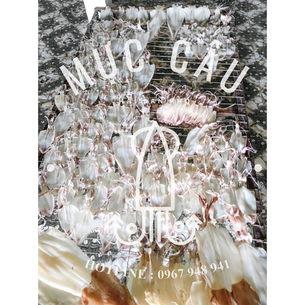 [ĐỒ ĂN VẶT] 5 con MỰC LÁ Mực khô sấy khô size nhỏ - Hàng cao cấp, dày cơm, không chất bảo quản 30-35 con/Kg | BigBuy360 - bigbuy360.vn