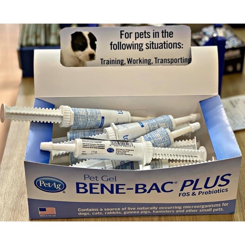 MEN TIÊU HOÁ BENE BAC CHO CHÓ MÈO