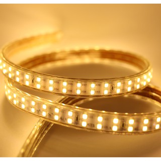 combo 40m đèn led dây 2835 bọc nhựa cao cấp - Đèn led trang trí ngày lễ