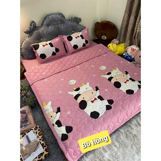 Ga Trải Giường Poly Cotton Mẫu Đẹp Đủ size từ m2 đến 2m * 2m2 (Được chọn mẫu - Gửi ảnh mẫu cần lấy qua chát)