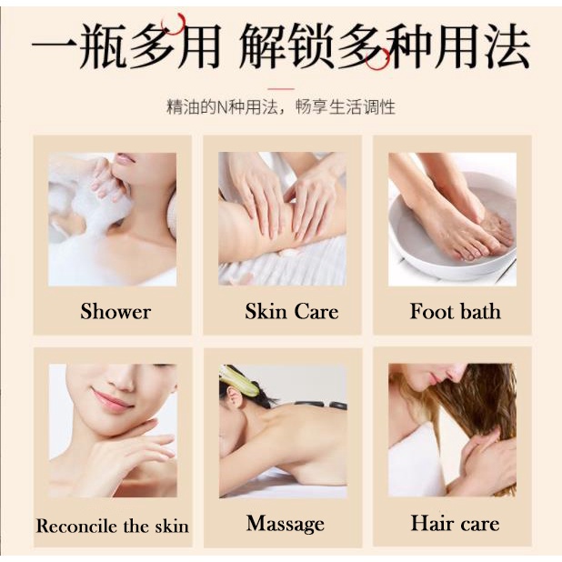 Tinh dầu massage thư giãn chiết xuất từ cây ngải cứu/hoa hồng 10ml