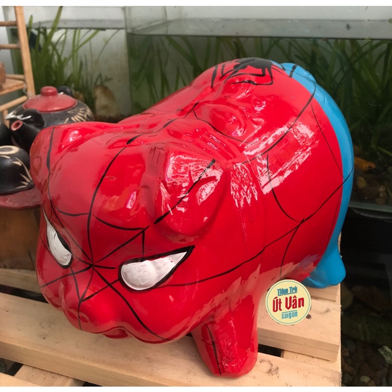 Heo đất Người nhện size L