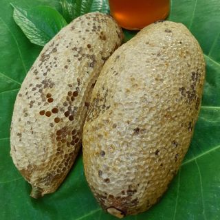 1.4kg mật ong rừng nguyên chất _ 1 lít chuẩn đã vắt