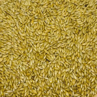 HẠT LÁNG DÀI - GÓI 1KG