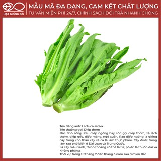 Hạt Giống Diếp Thơm Cao Sản LS07 (2gr) - Giống cây trồng cho thân cây và cả lá làm thực phẩm