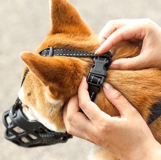 Rọ Mõm Dành Cho Thú Cưng