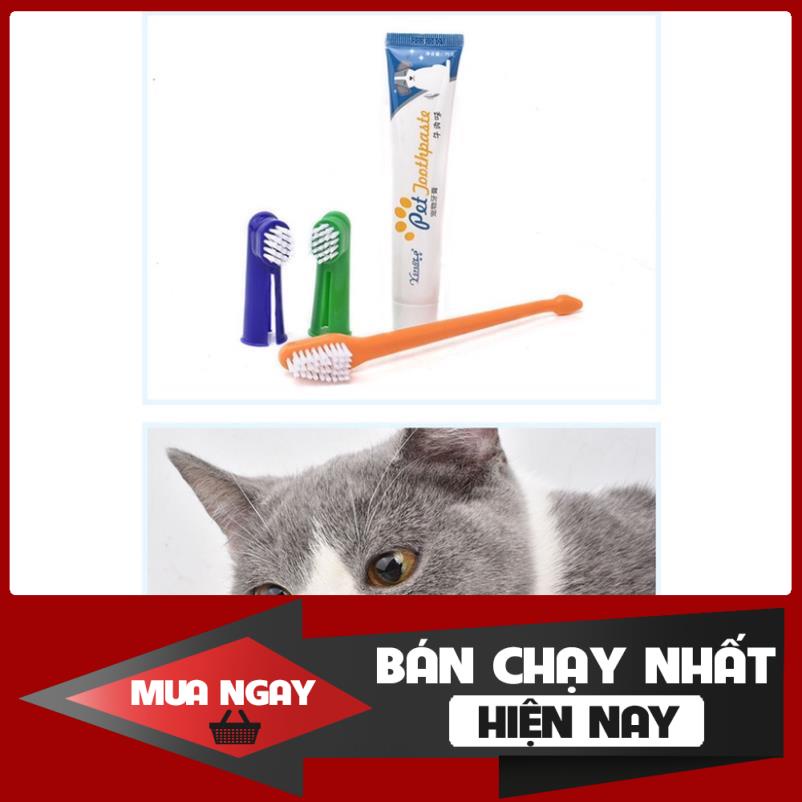 [❌GIÁ SỈ❌] [ RẺ VÔ ĐỊCH ] Bộ bàn chải kem đánh răng cho thú cưng thơm miệng chống sâu răng cao cấp ❤️