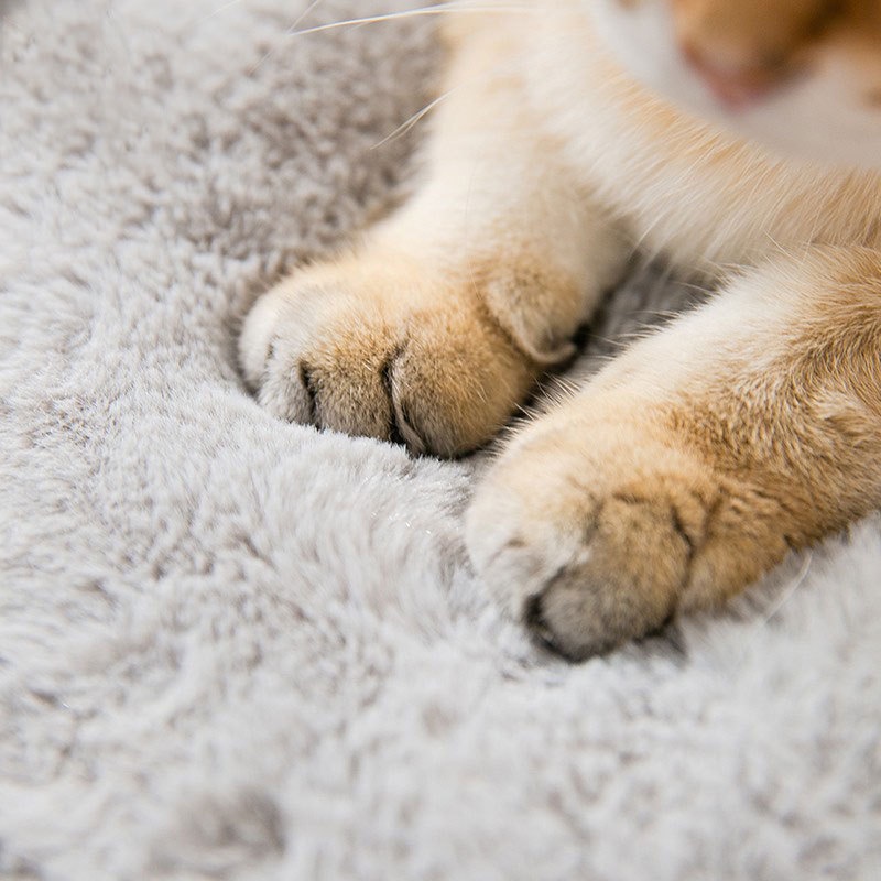 Nhà cho mèo chó ngủ Hipipet nhà trống tai thỏ LÔNG CỪU gấp gọn 2 trong 1 chuyển đổi dễ dàng sang nệm nằm