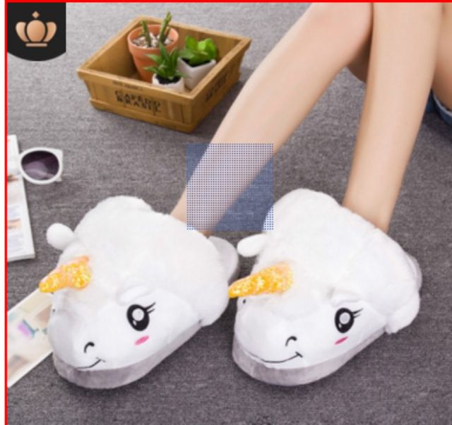 Dép thú mang trong nhà