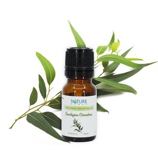 Tinh dầu Bạch Đàn Chanh 10ml - 30ml NATURESENSE