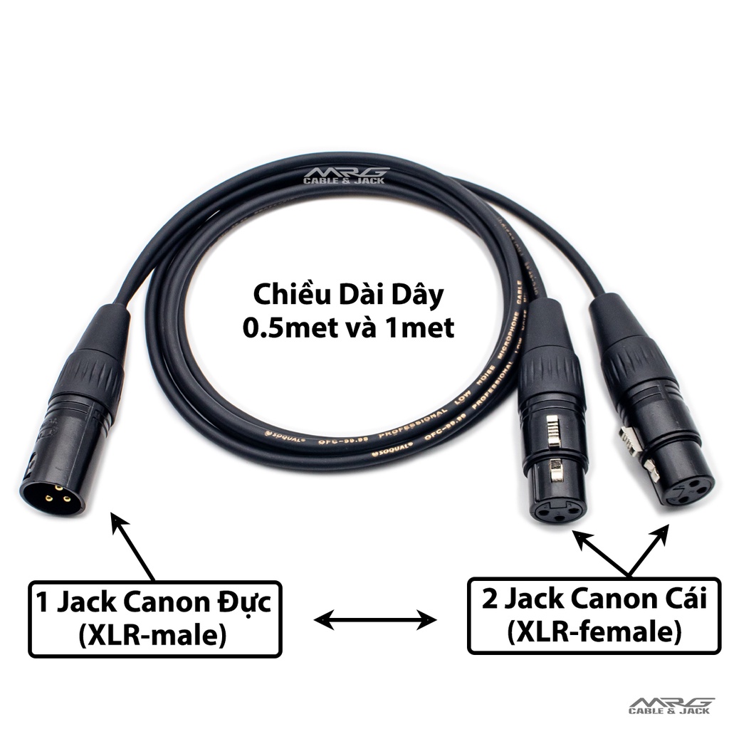 Dây 1 Đầu Canon Đực Ra 2 Đầu Canon Cái - MrG