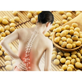BỘT ĐẬU NÀNH NGUYÊN HẠT