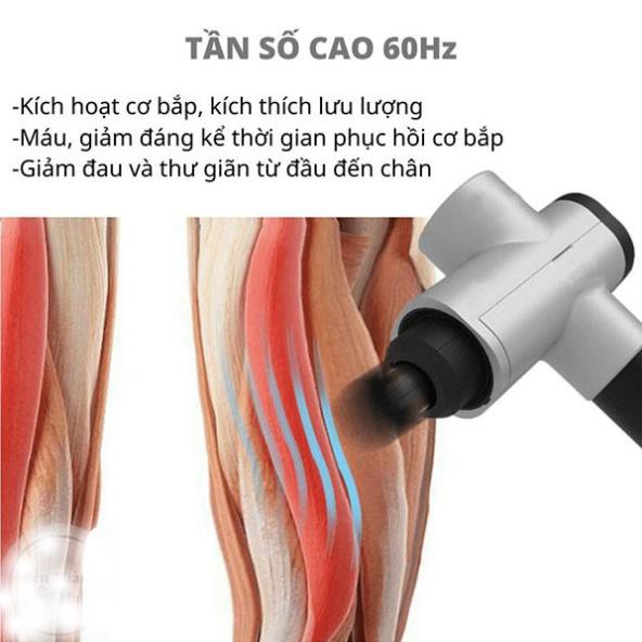 Máy Massage Gun SL-8860 Cầm Tay