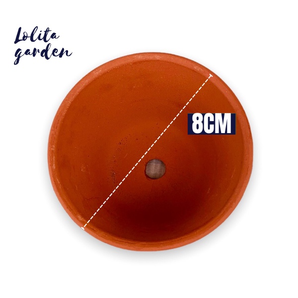 CHẬU ĐẤT NUNG LÙN NÂU ĐƯỜNG KÍNH 8CM SIÊU XINH SIÊU KHỎE LỖI 1 ĐỔI 1