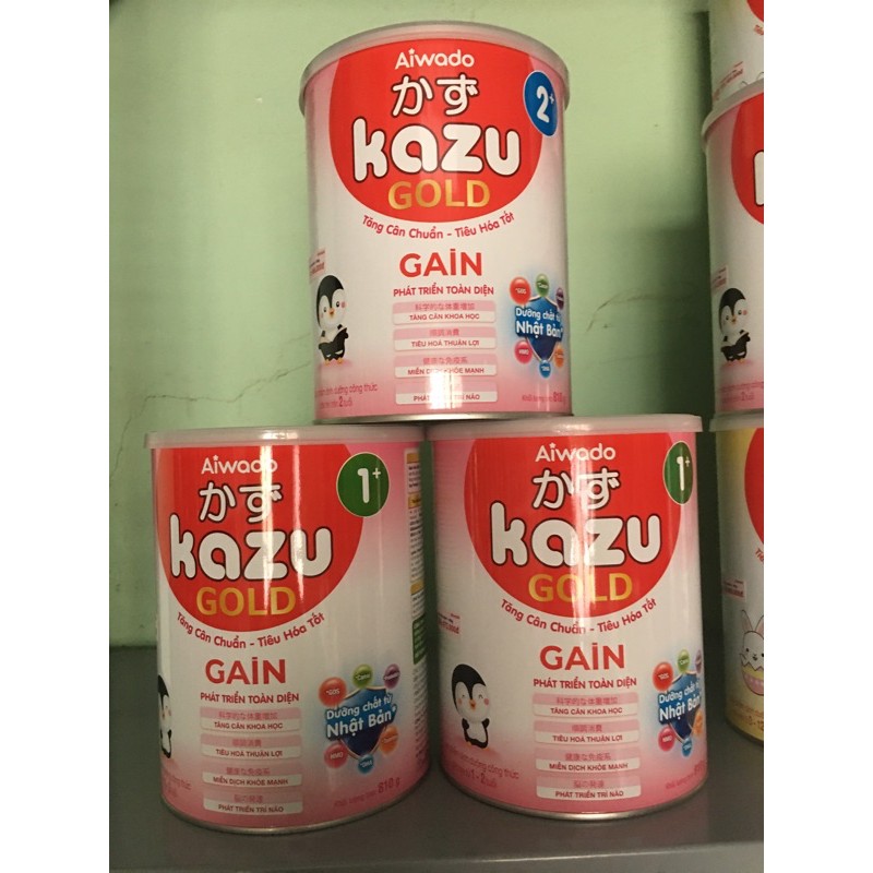 Kazu Gold Gain 0 (810g)