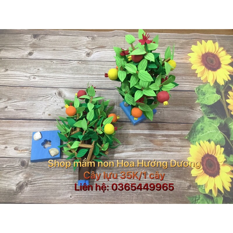 Cây xanh góc xây dựng