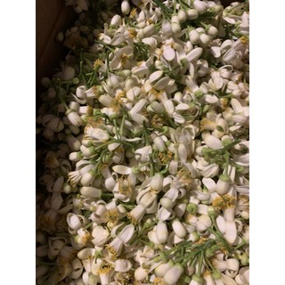 Nước cất hoa bưởi tự chưng cất 100 ml