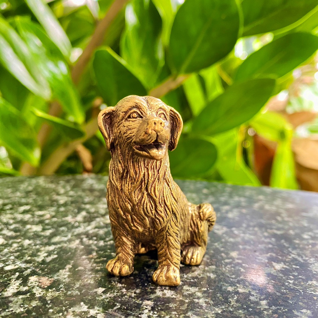 Tượng Đồng Chú Chó Golden Ngồi, Đem Lại Sự May Mắn Tài Lộc cho Người tuổi Tuất, Vật Phẩm Trưng Bày