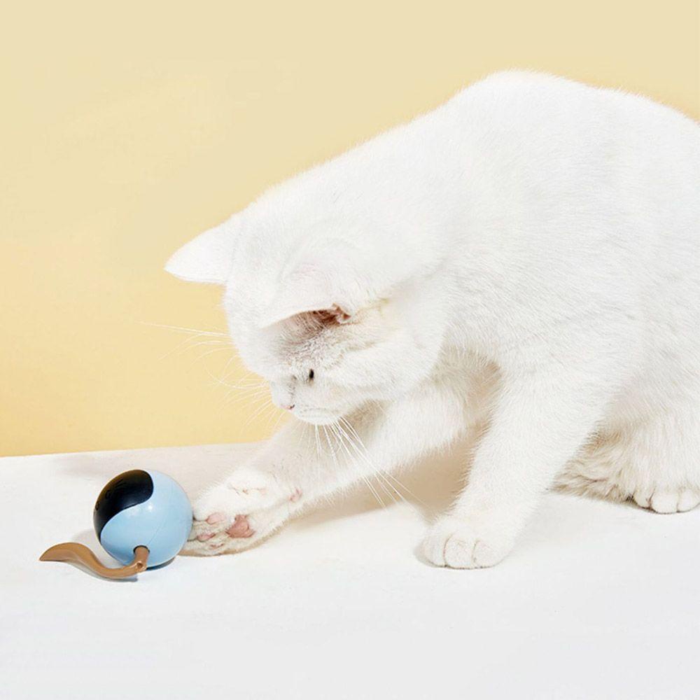 Bóng Đồ Chơi Thông Minh Cho Mèo Cưng