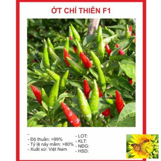 Hạt Giống Ớt Chỉ Thiên Siêu Cay 20 HẠT