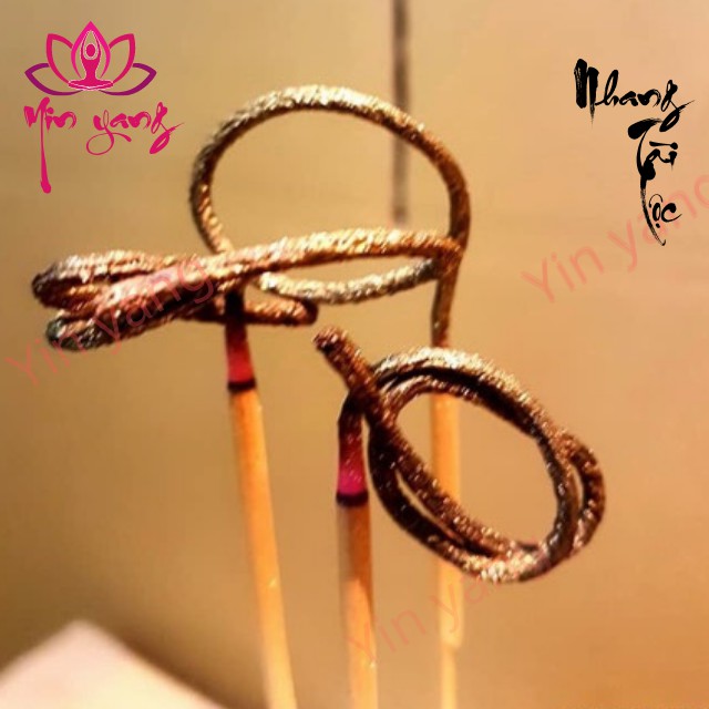 Nhang Tài Lộc Tinh Dầu Quế ( Tàn Xoắn Hình Đồng Xu )- Yinyang Shop